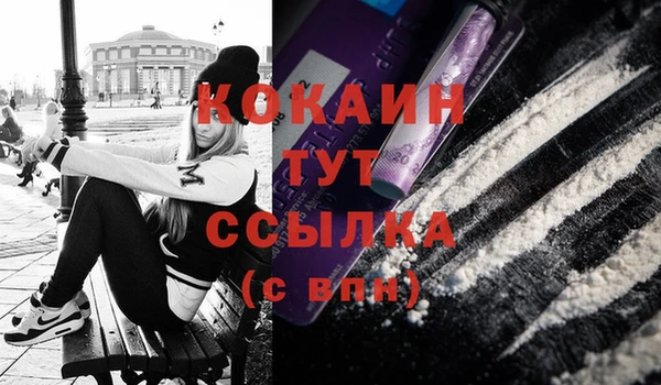 индика Горнозаводск