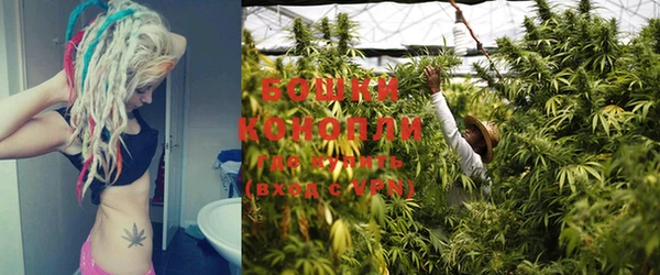 кокс Вяземский