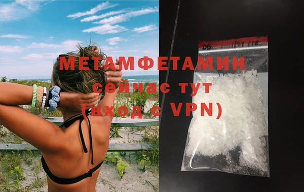 индика Горнозаводск